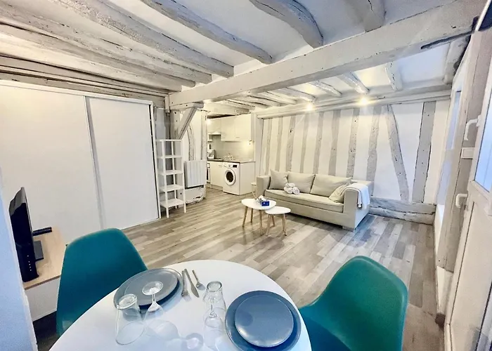 Apartamento Petit Pres Du Centre - 186 Ruão